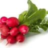 008 Radish (Regather Farm)
