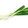 011 Spring Onion (Regather Farm)