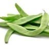 015 Bean Runner (Regather Farm)