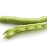 007 Broad Beans (UK)