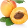 034 Apricot (FR)