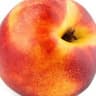 032 Nectarine (ES)