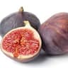 036 Fig (FR)