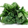 019 Spinach (UK)