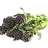 014 Broccoli Sprouting (Regather Farm)