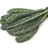 011 Cavolo Nero (Regather Farm)