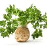 005 Celeriac (Regather Farm)
