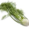 008 Fennel (Regather farm)