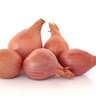 003a Shallot Bunch (Regather Farm)