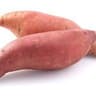 022 Sweet Potato (ES)