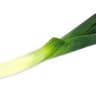 016 Leek (UK)
