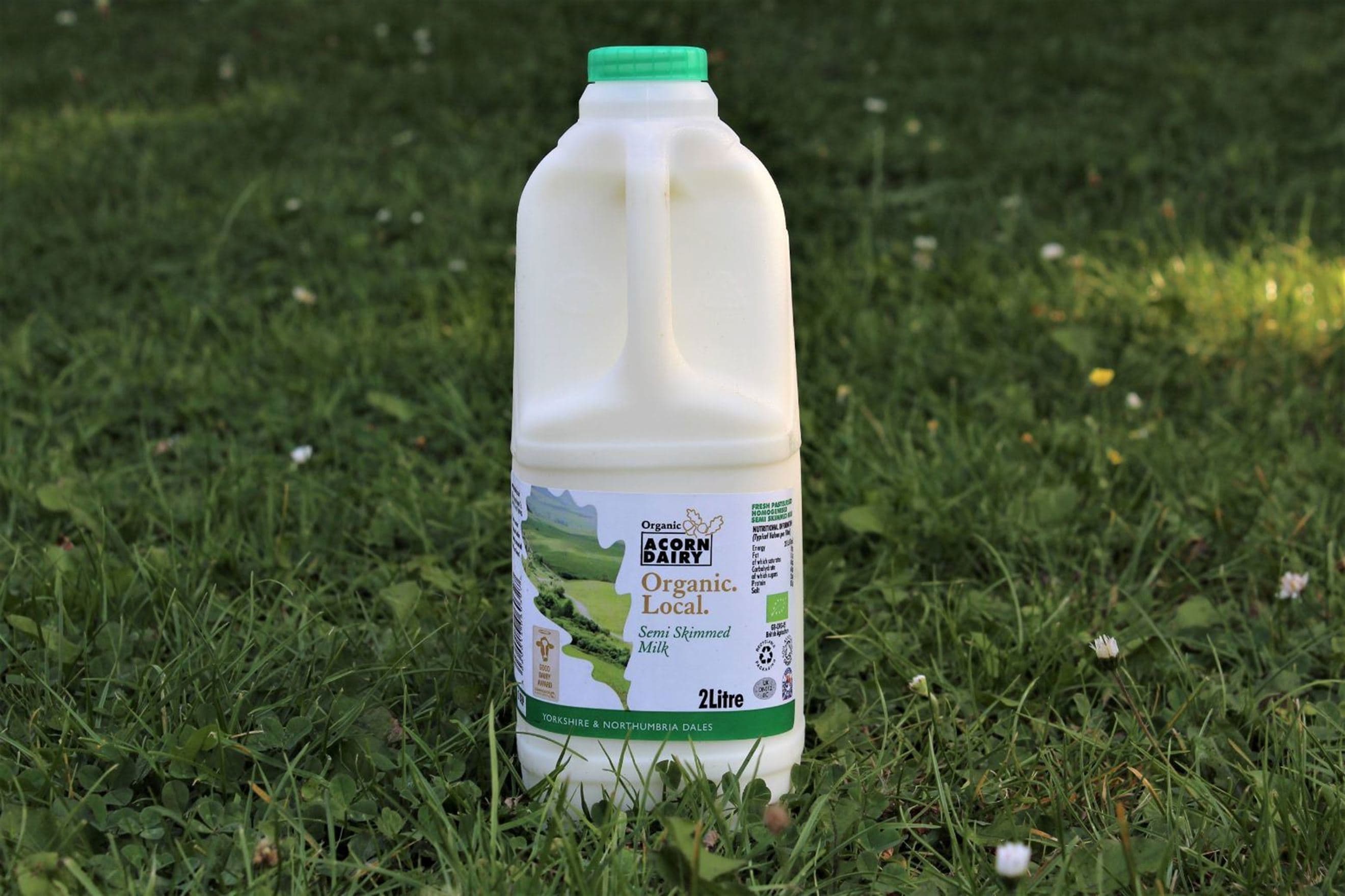 Image of the product