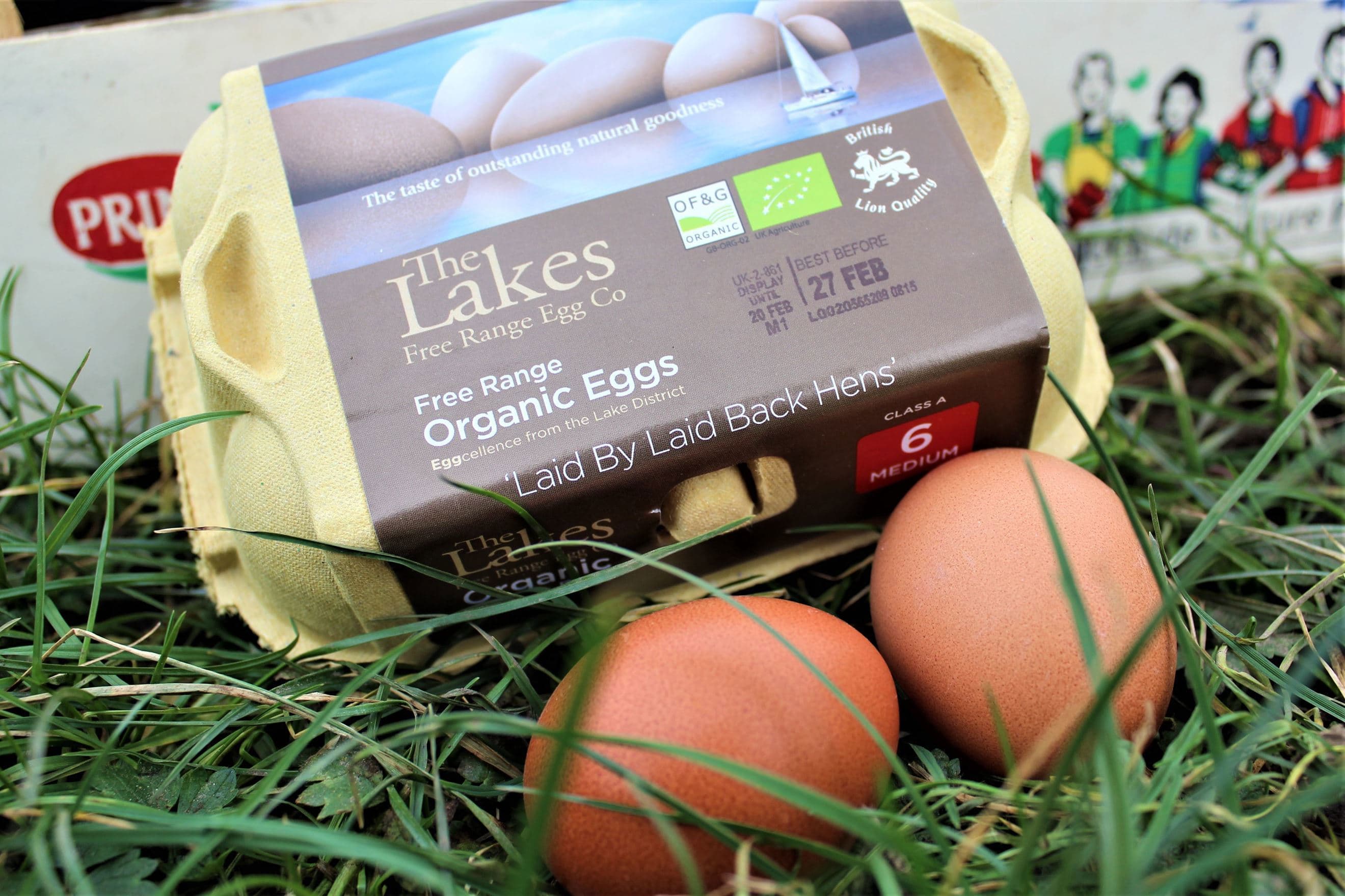 Organic Eggs (Box of 6)