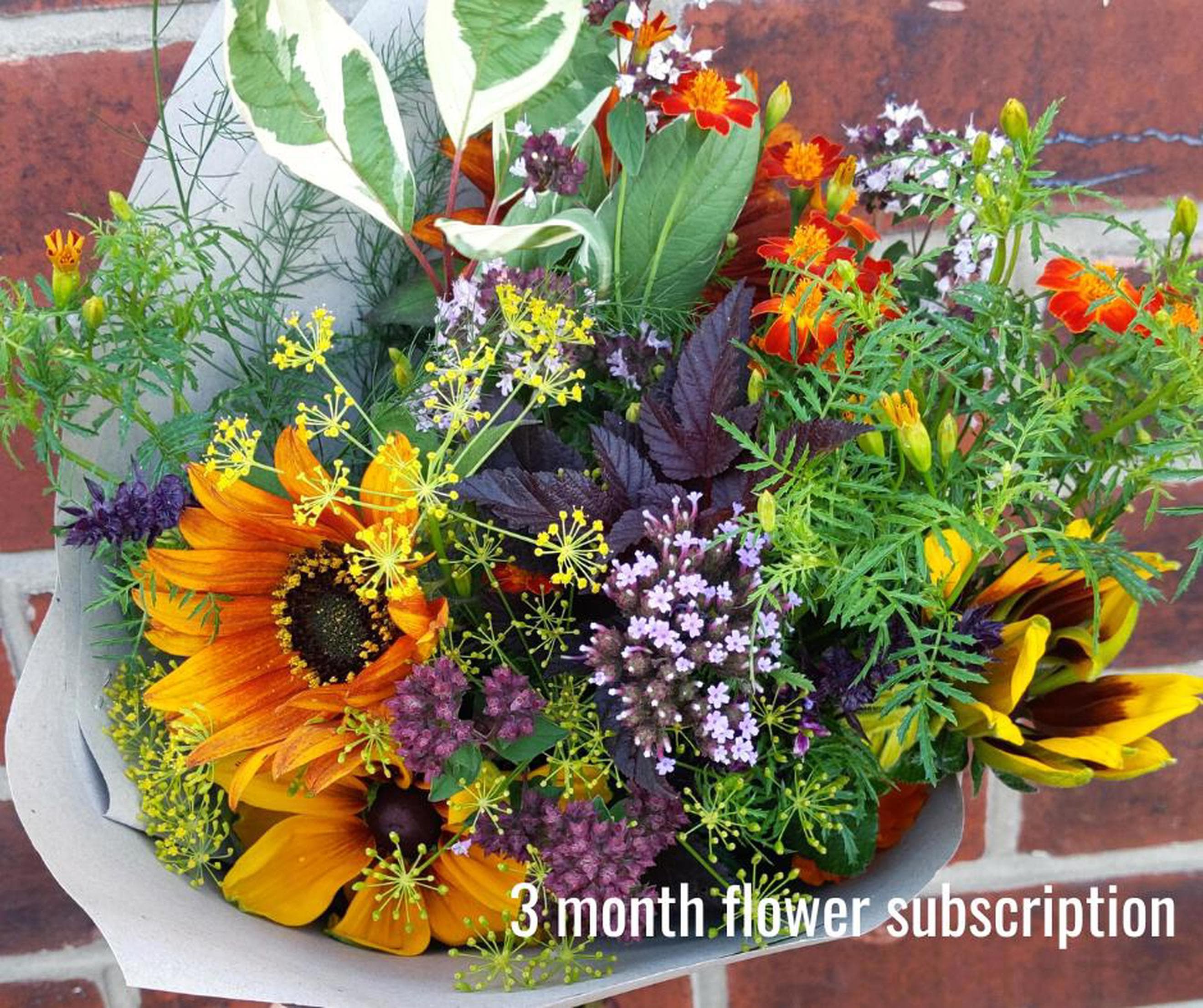 3 Month Flower Subscription (Apr-Sept 2026)