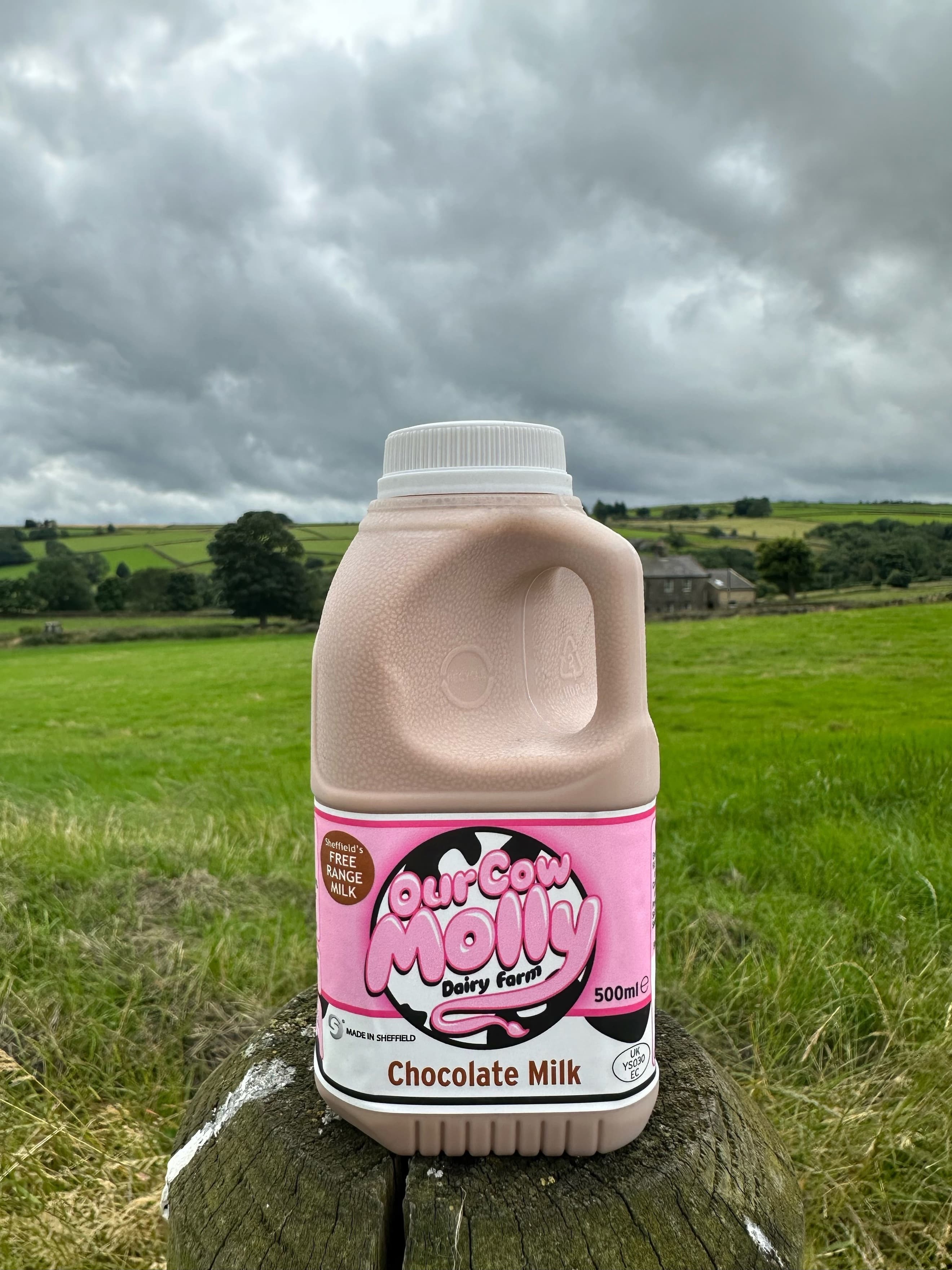 Image of the product