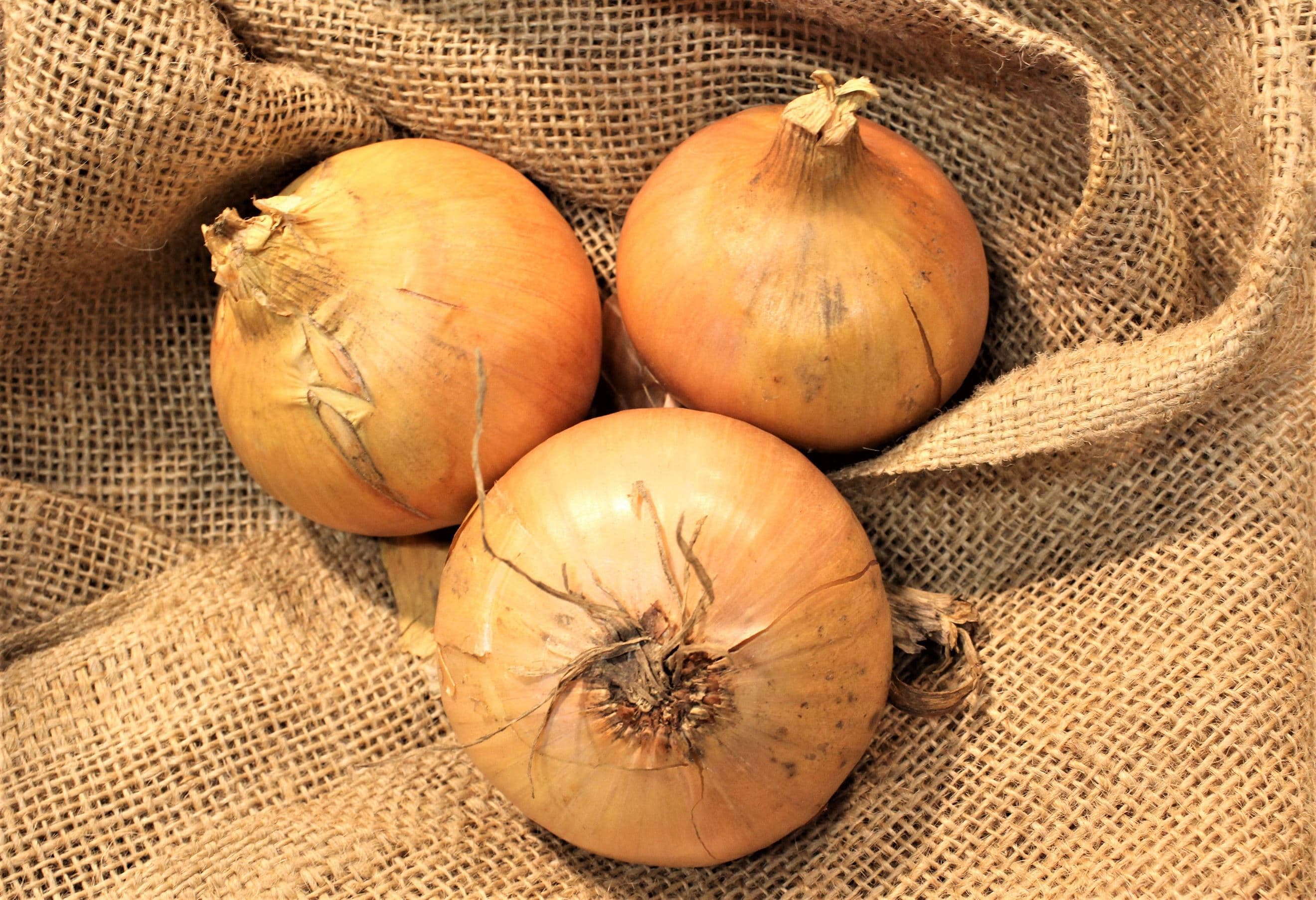 Organic Onions (500g)