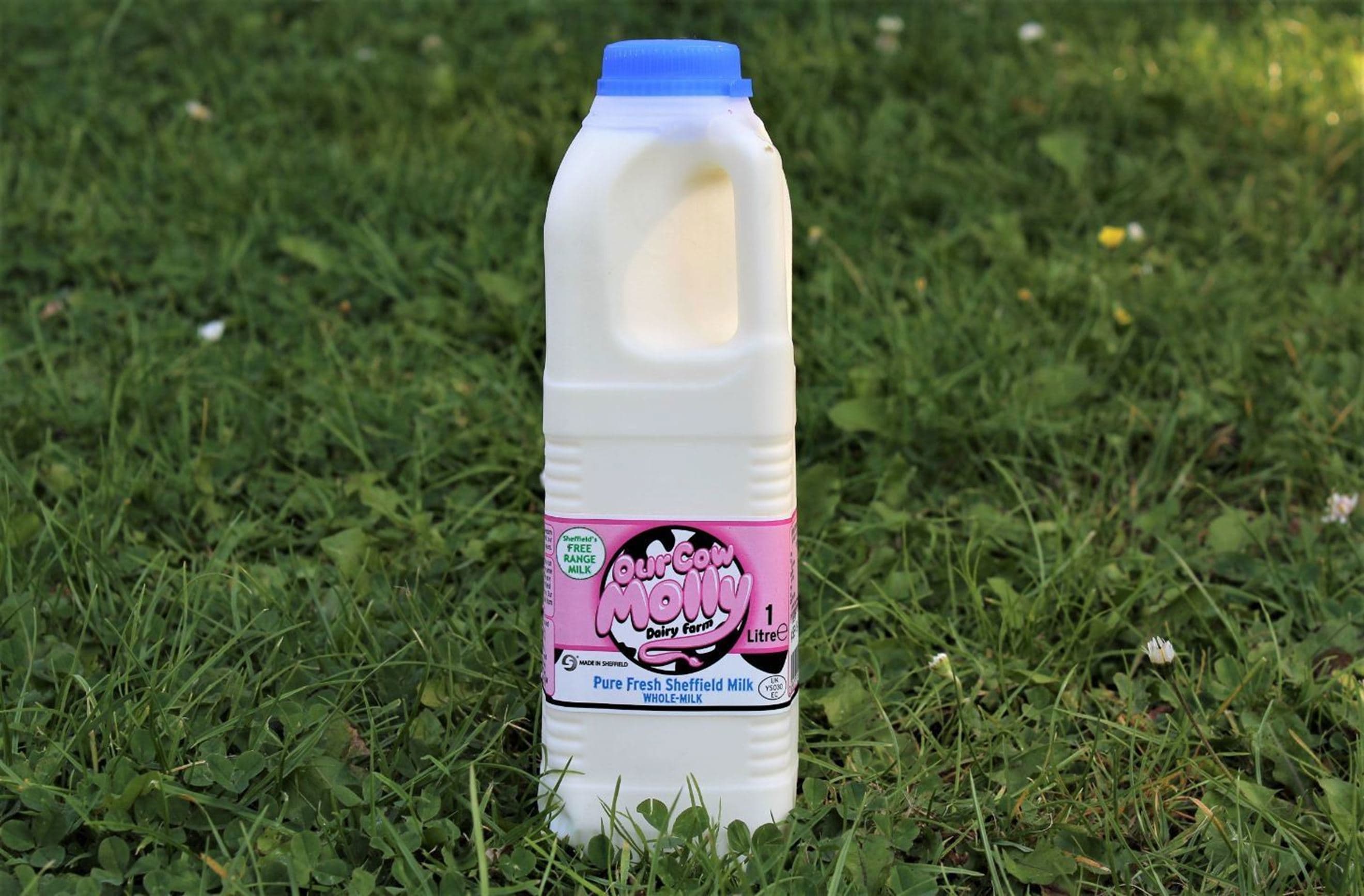 Our Cow Molly Whole Milk, 1L