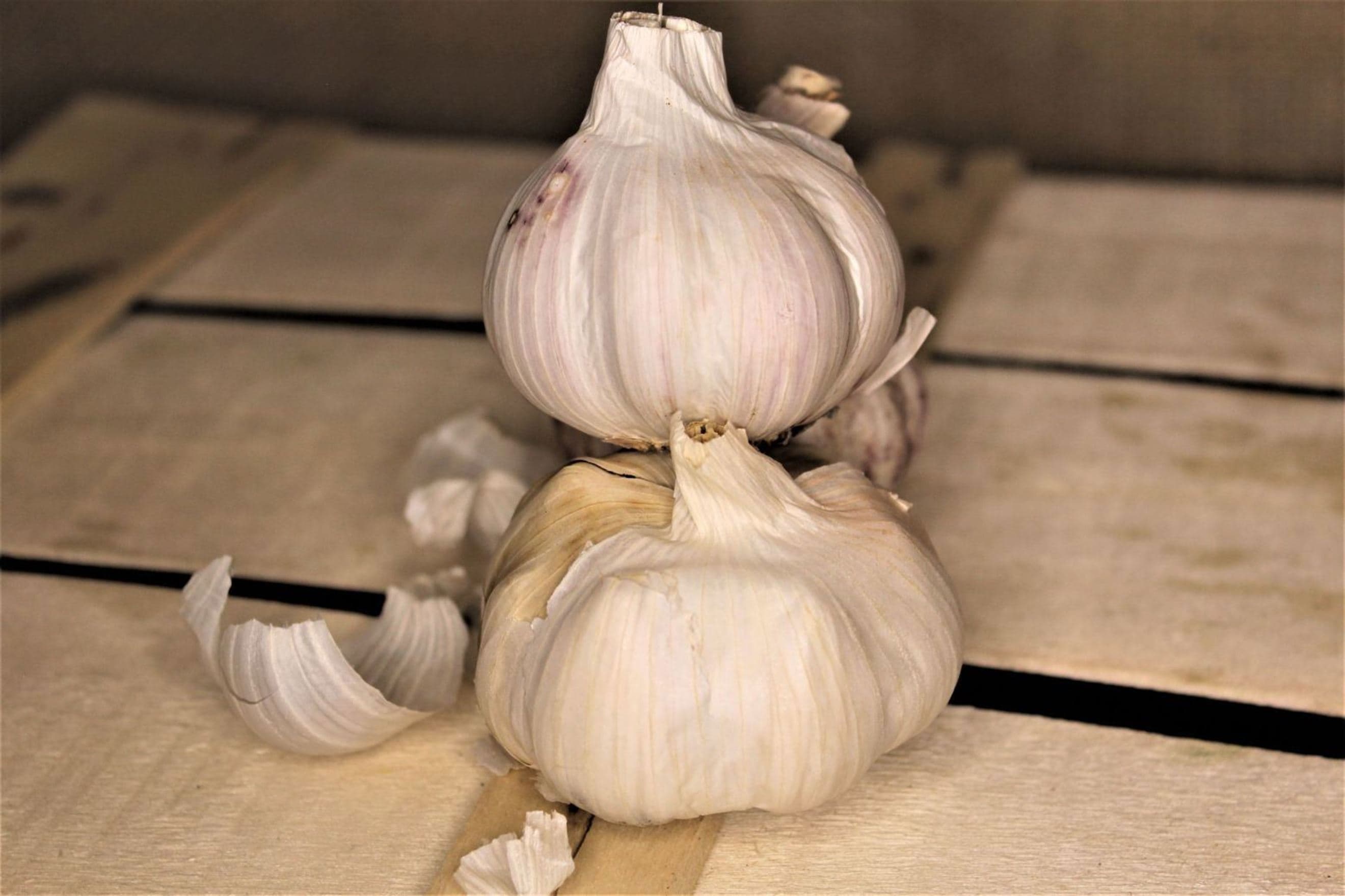 Organic Garlic