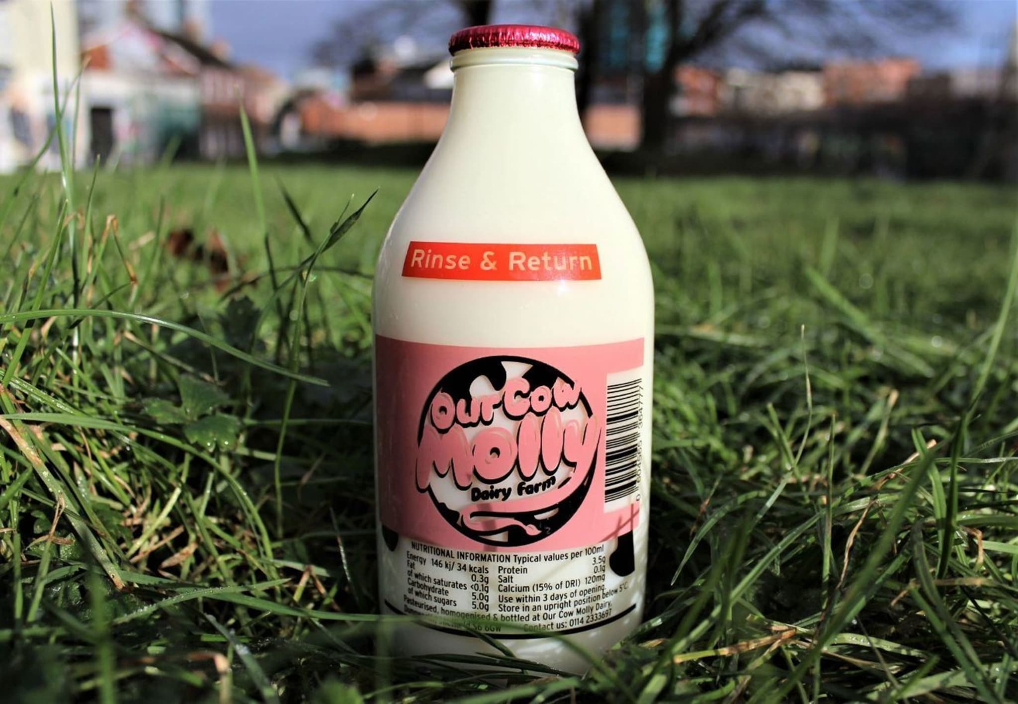 Image of the product