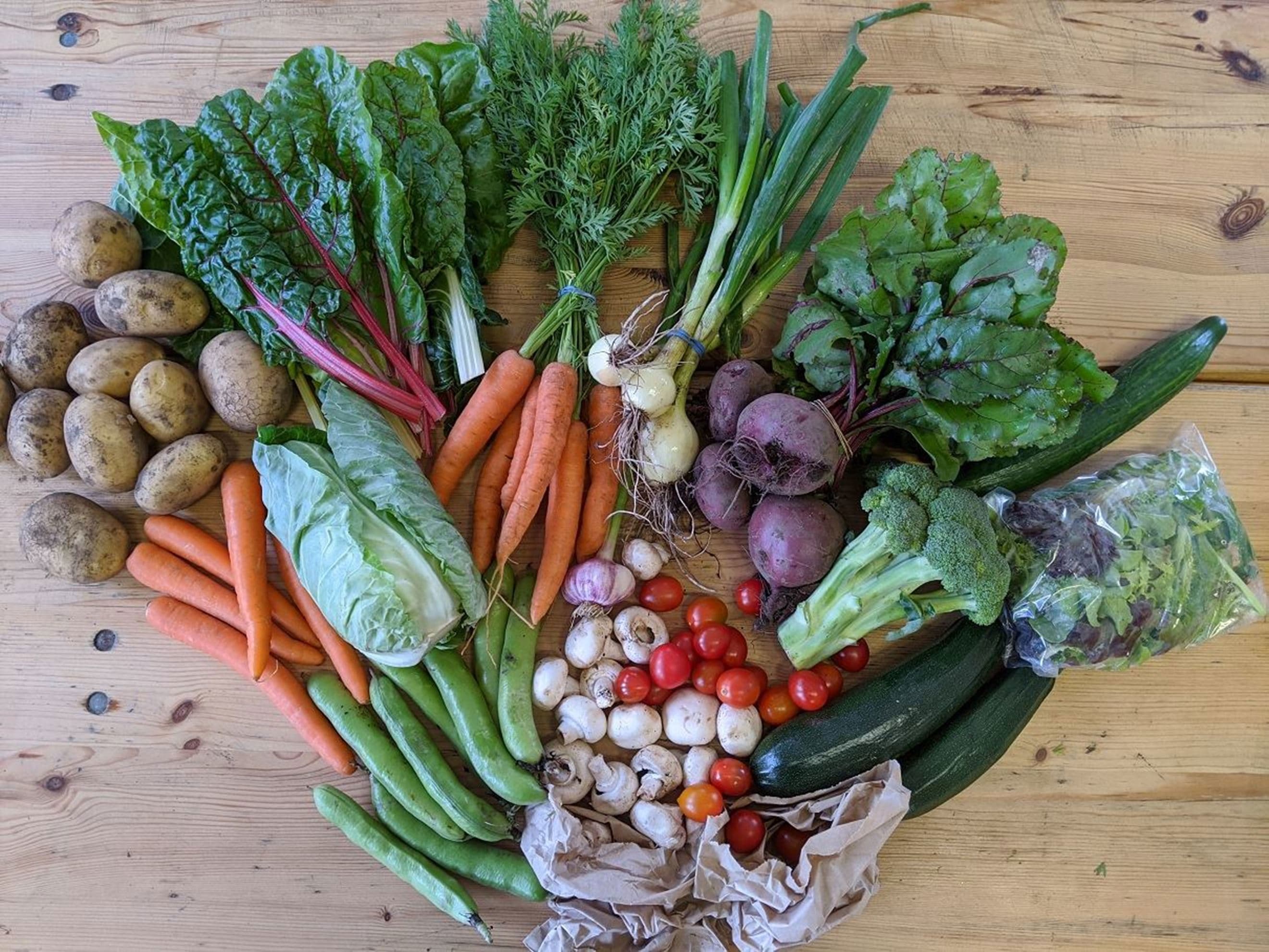 🥬 Veg Boxes