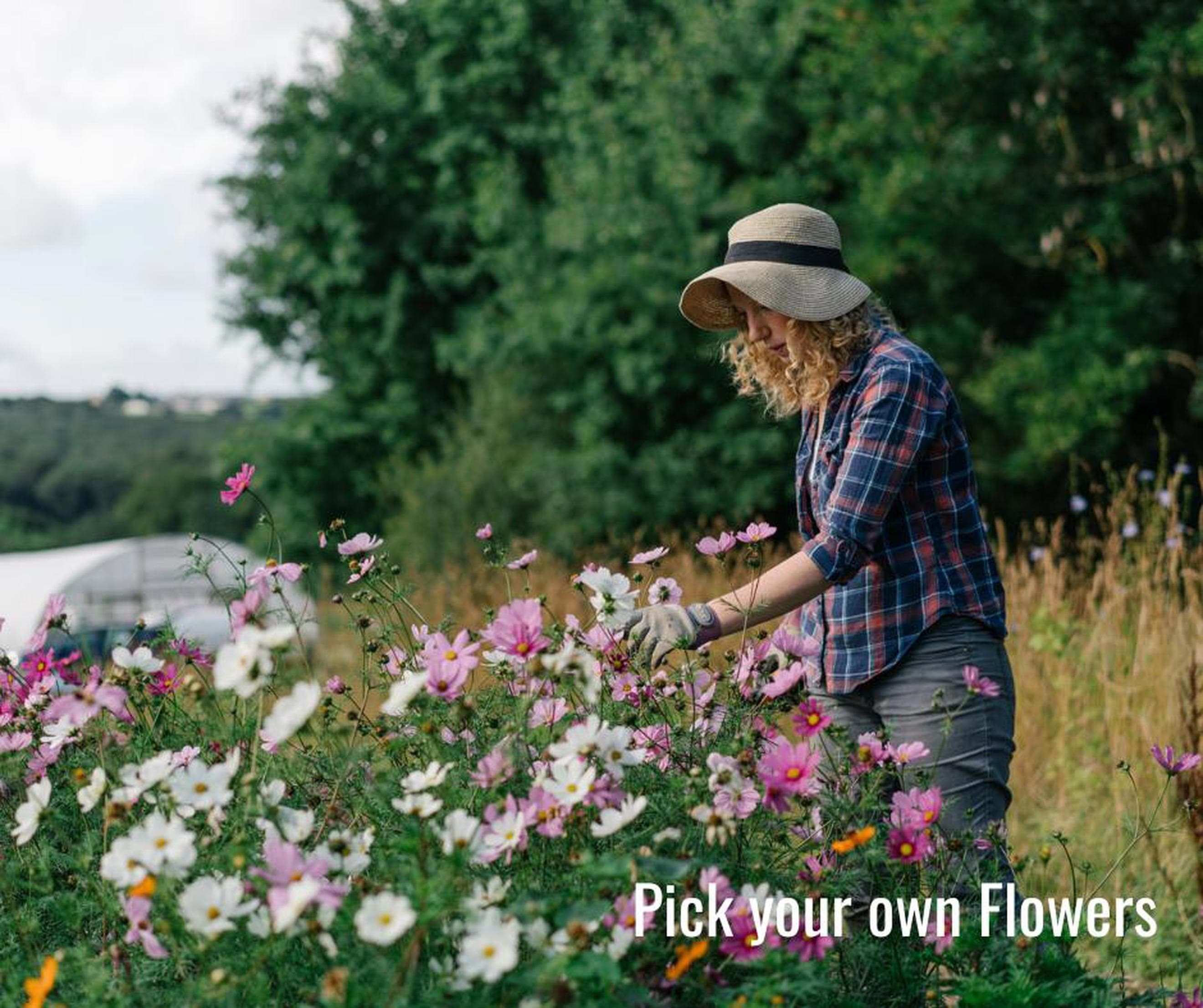 Pick Your Own Flowers Voucher (2026)