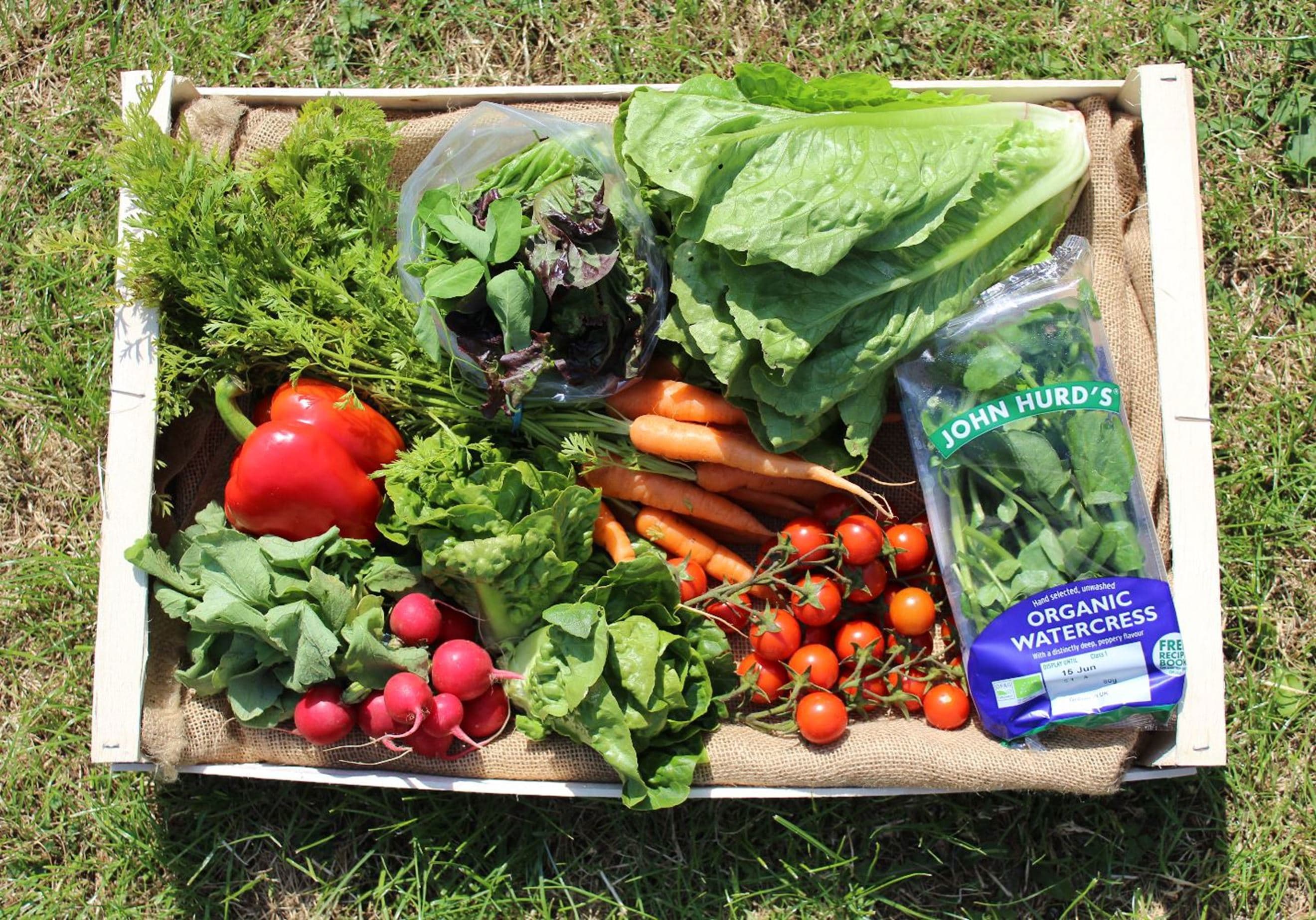 The Salad Box 🥗