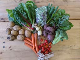 Image of The Original Veg Box Medium