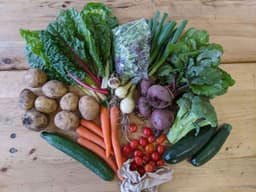 Image of The Original Veg Box Large