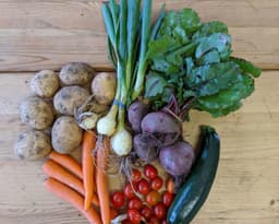 Image of The Original Veg Box Small