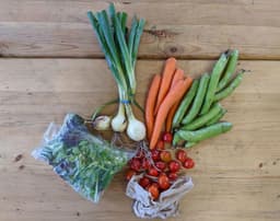 Image of No Potatoes Veg Box Extra Small