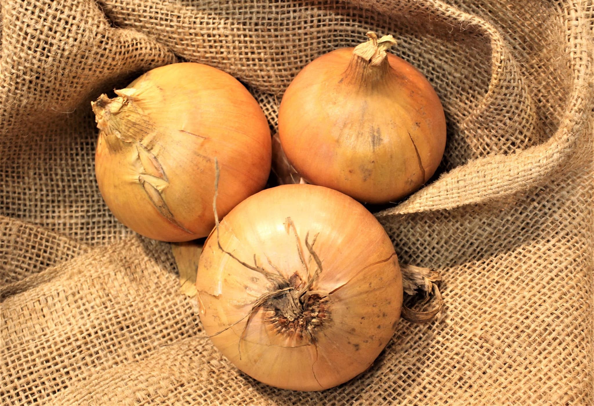 Organic Onions (500g)