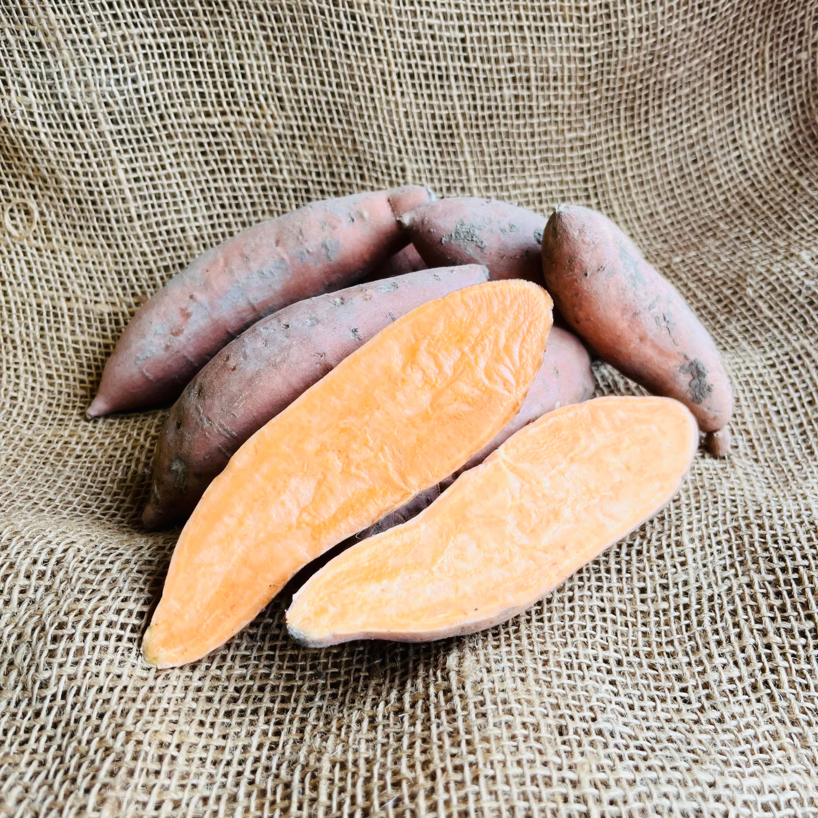 Image of the product