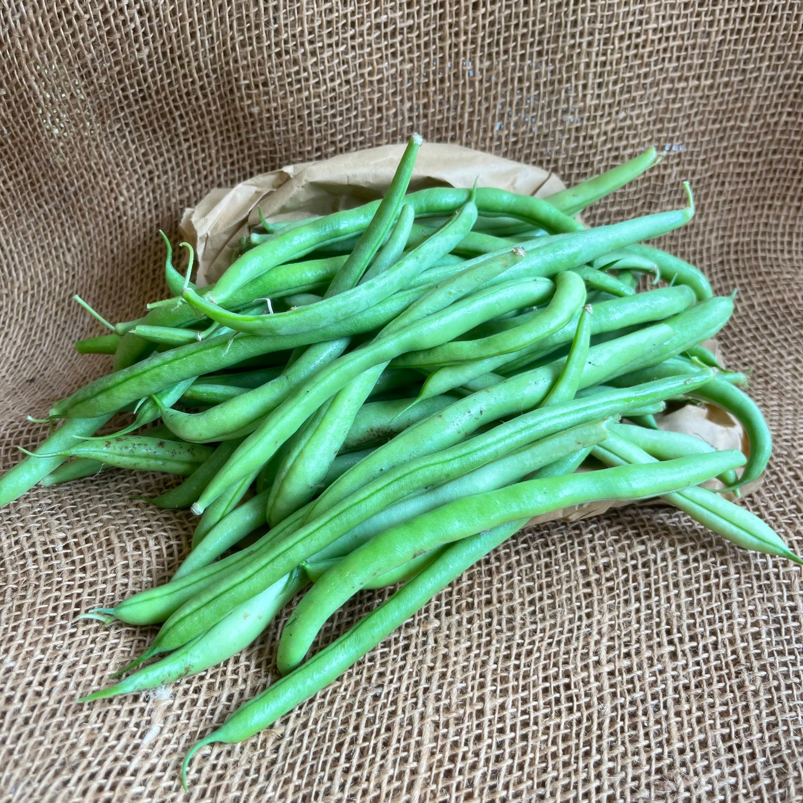 ORGANIC SEP OFFER - Organic Climbing Beans from Regather Farm (500g)