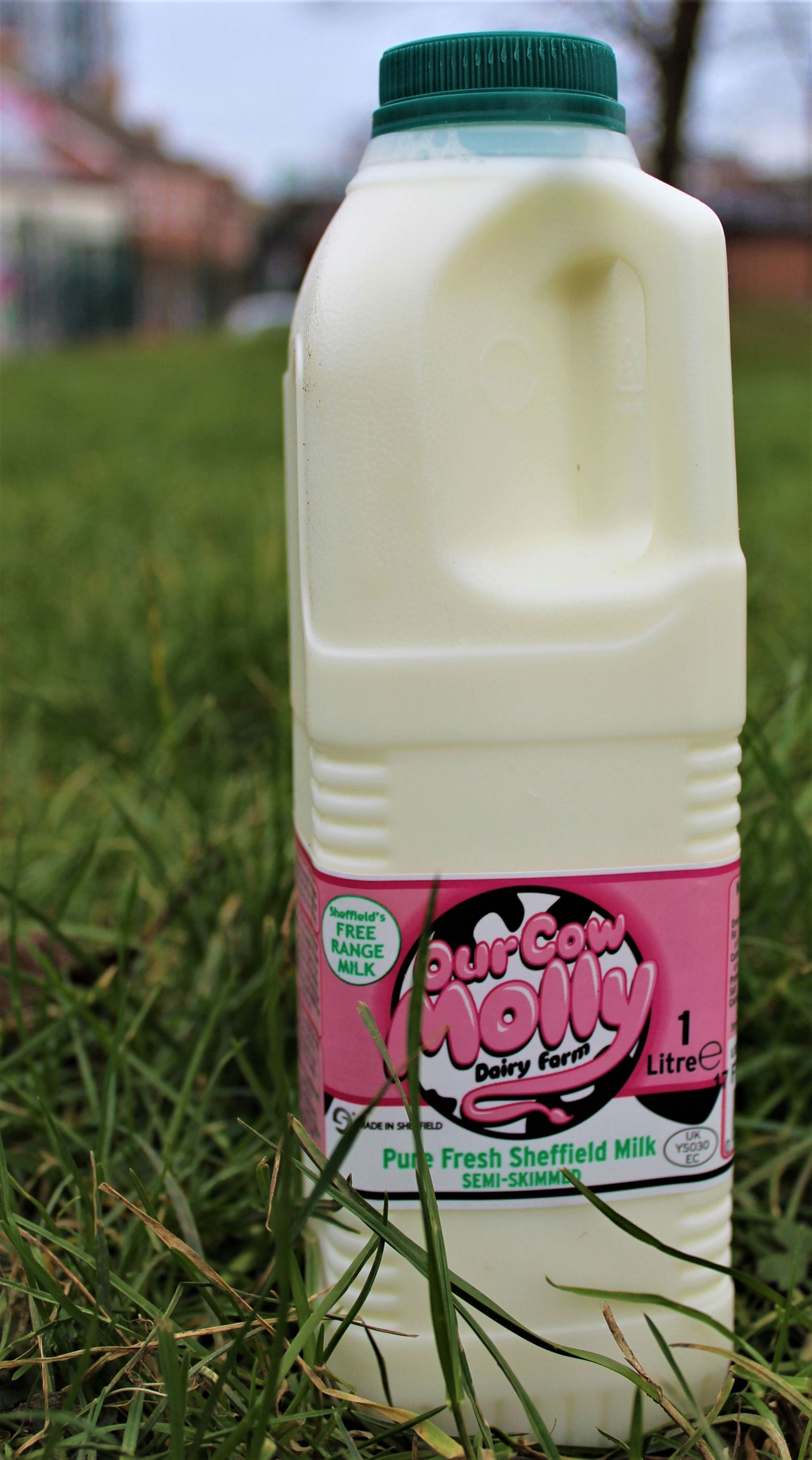 Image of the product
