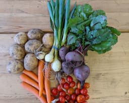 Image of The Original Veg Box Extra Small