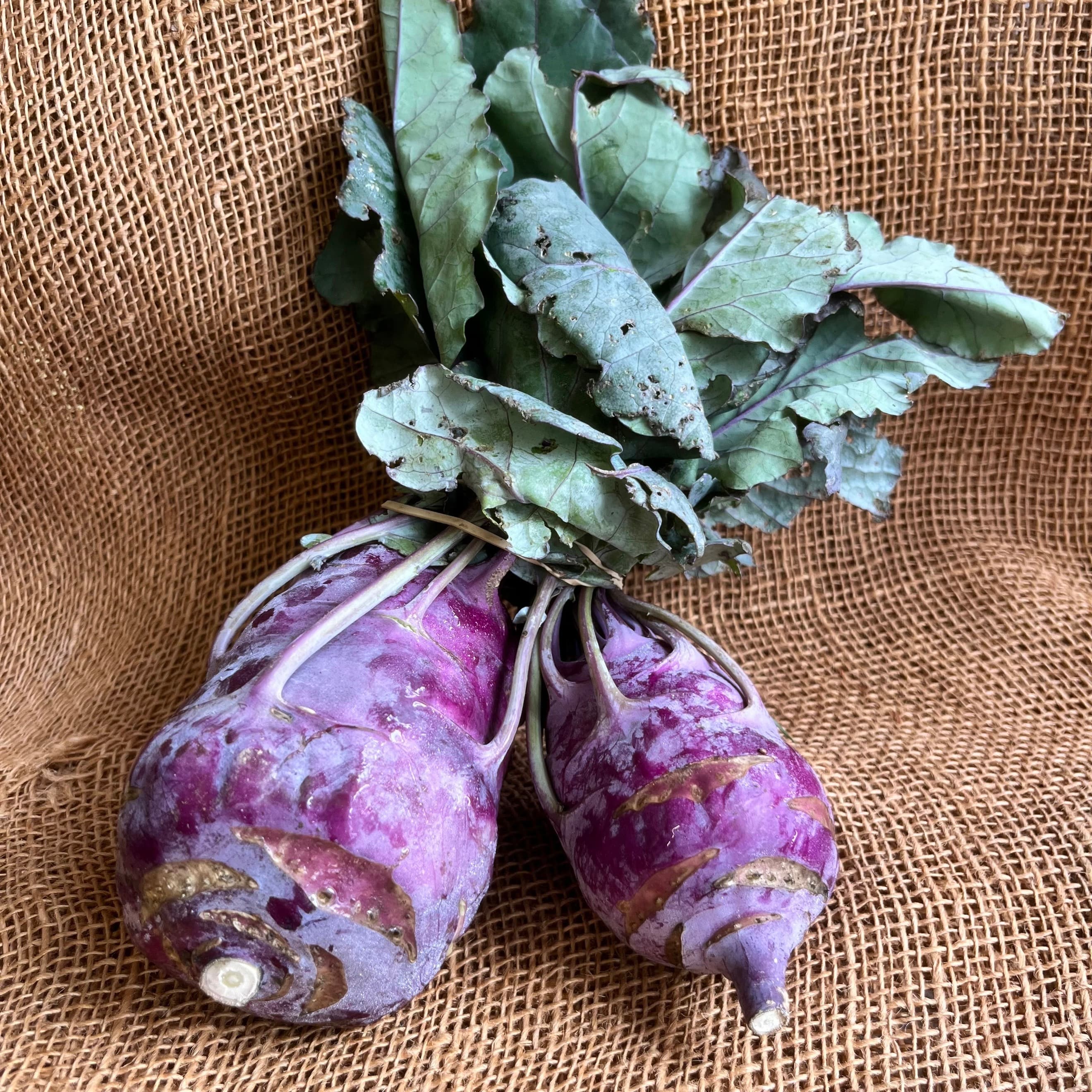 ORGANIC SEP OFFER Organic Kohlrabi x 2 from Regather Farm
