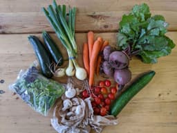 Image of No Potatoes Veg Box Medium