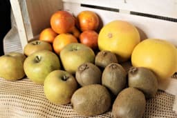 Image of Fruit Box Medium