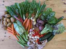 Image of The Original Veg Box Extra Large