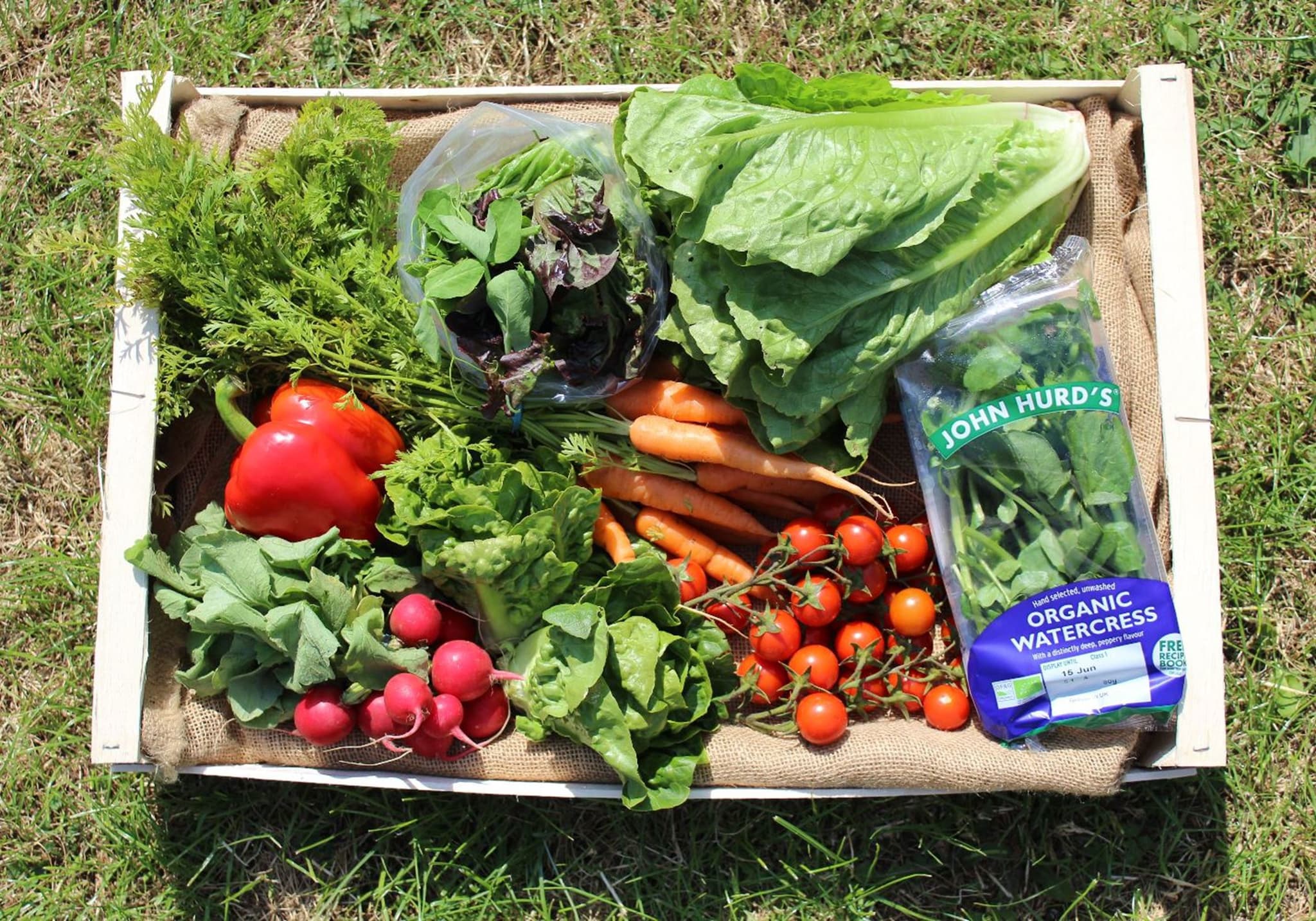 The Salad Box 🥗